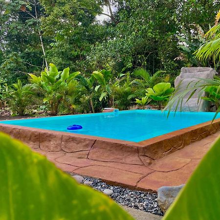 Iki Volcan Arenal With Jacuzzy La Fortuna Eksteriør billede