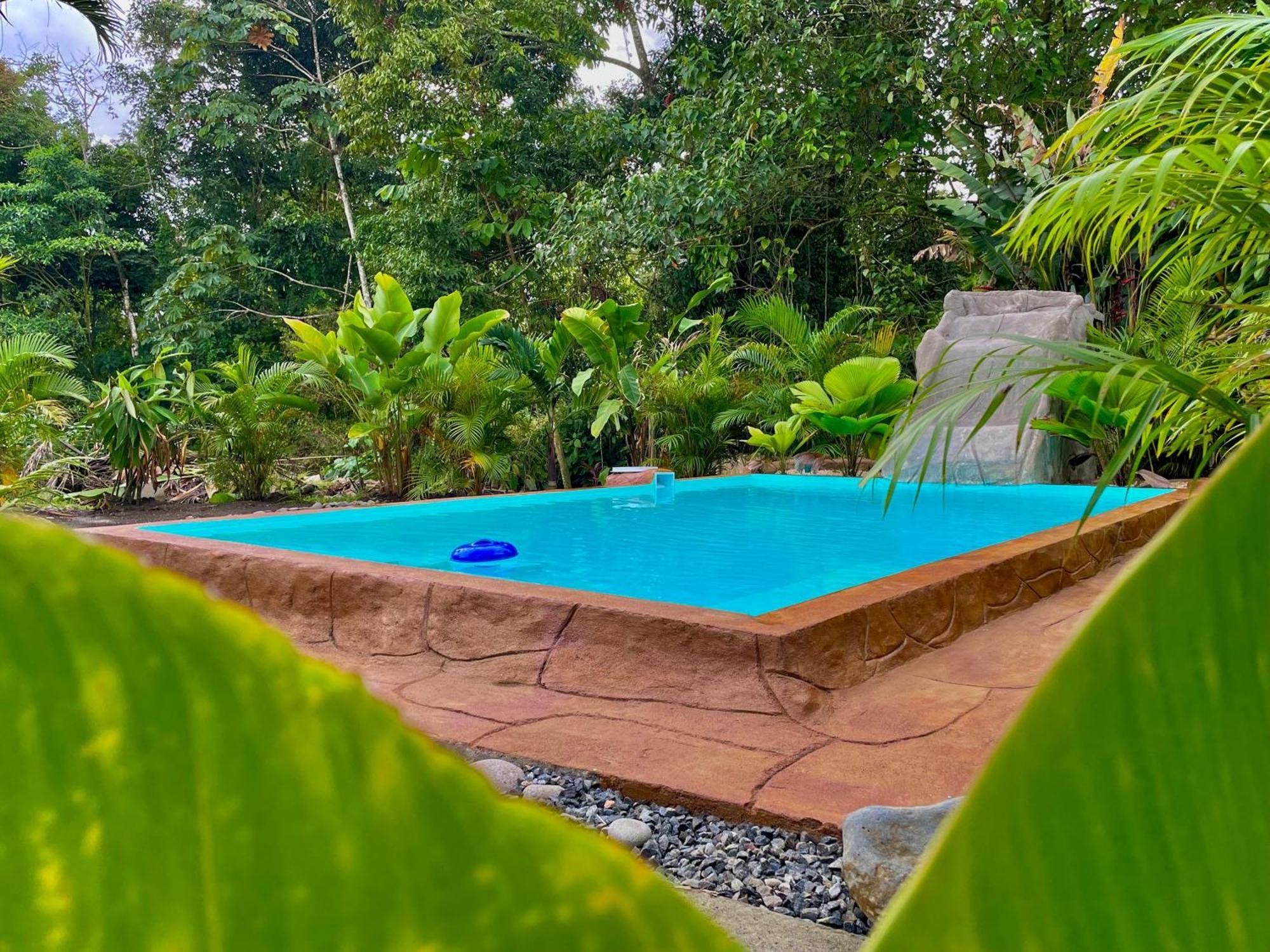 Iki Volcan Arenal With Jacuzzy La Fortuna Eksteriør billede